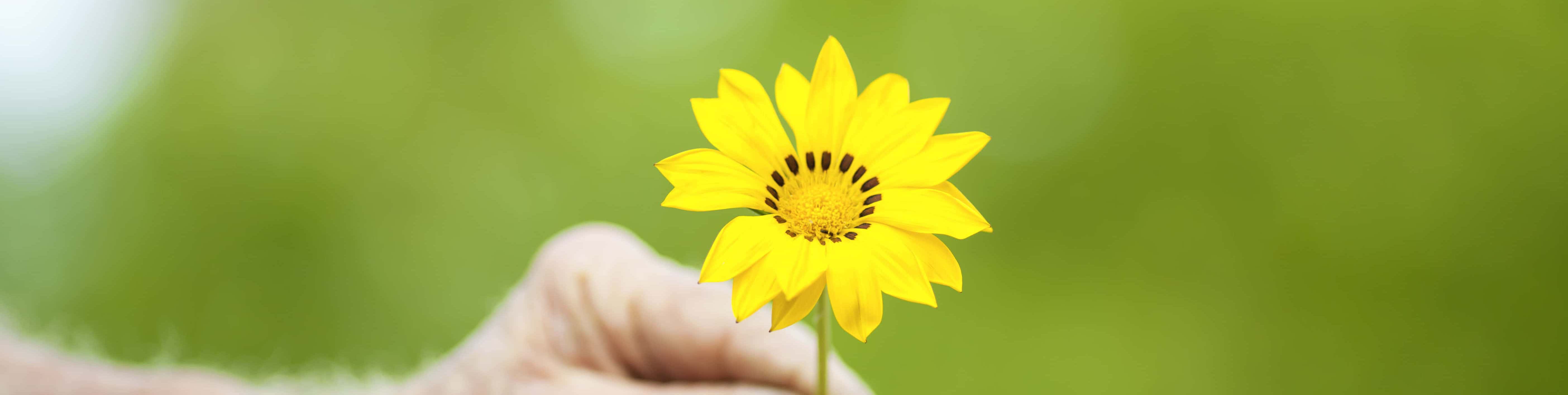 Vandermeyer Senior Homecare Llc in Glendale